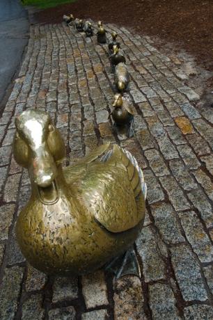 42. Make Way for Ducklings - 1